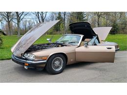 1988 Jaguar XJ (CC-2054242) for sale in Hilton, New York