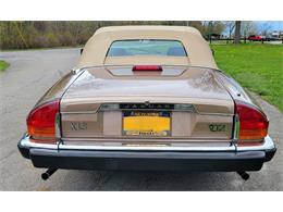 1988 Jaguar XJ (CC-2054242) for sale in Hilton, New York