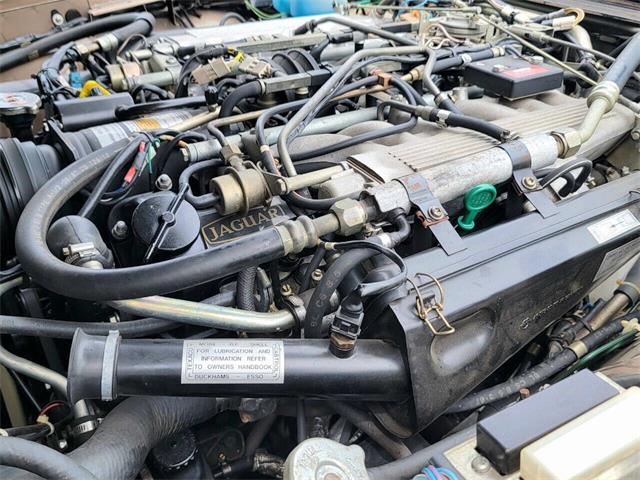 1988 Jaguar XJ (CC-2054242) for sale in Hilton, New York