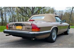 1988 Jaguar XJ (CC-2054242) for sale in Hilton, New York