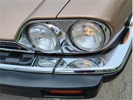 1988 Jaguar XJ (CC-2054242) for sale in Hilton, New York