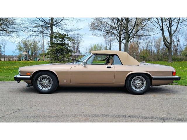 1988 Jaguar XJ (CC-2054242) for sale in Hilton, New York