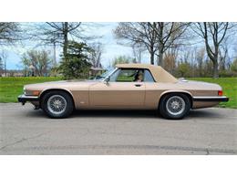 1988 Jaguar XJ (CC-2054242) for sale in Hilton, New York