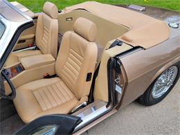 1988 Jaguar XJ (CC-2054242) for sale in Hilton, New York