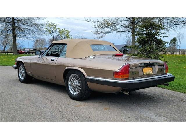 1988 Jaguar XJ (CC-2054242) for sale in Hilton, New York
