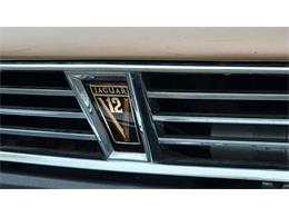 1988 Jaguar XJ (CC-2054242) for sale in Hilton, New York