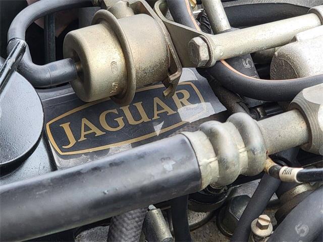 1988 Jaguar XJ (CC-2054242) for sale in Hilton, New York