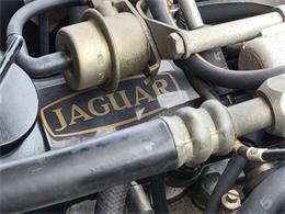 1988 Jaguar XJ (CC-2054242) for sale in Hilton, New York
