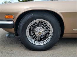 1988 Jaguar XJ (CC-2054242) for sale in Hilton, New York