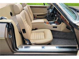 1988 Jaguar XJ (CC-2054242) for sale in Hilton, New York