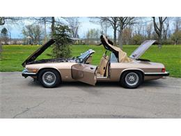 1988 Jaguar XJ (CC-2054242) for sale in Hilton, New York