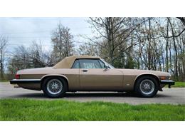 1988 Jaguar XJ (CC-2054242) for sale in Hilton, New York