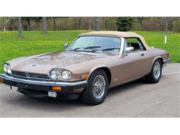 1988 Jaguar XJ (CC-2054242) for sale in Hilton, New York