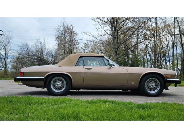 1988 Jaguar XJ (CC-2054242) for sale in Hilton, New York