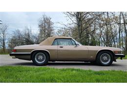 1988 Jaguar XJ (CC-2054242) for sale in Hilton, New York