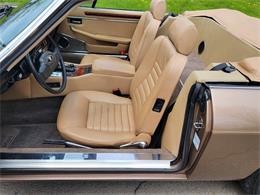 1988 Jaguar XJ (CC-2054242) for sale in Hilton, New York