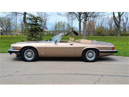 1988 Jaguar XJ (CC-2054242) for sale in Hilton, New York