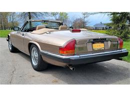 1988 Jaguar XJ (CC-2054242) for sale in Hilton, New York