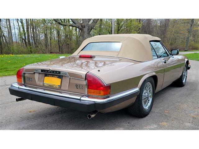 1988 Jaguar XJ (CC-2054242) for sale in Hilton, New York