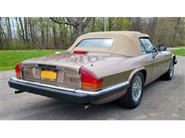 1988 Jaguar XJ (CC-2054242) for sale in Hilton, New York