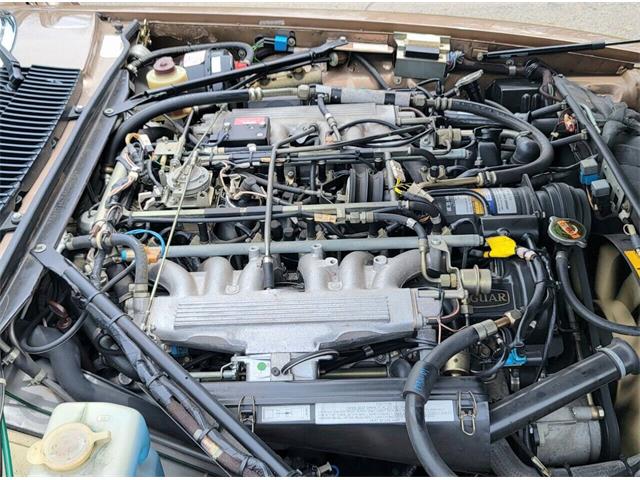 1988 Jaguar XJ (CC-2054242) for sale in Hilton, New York