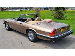 1988 Jaguar XJ (CC-2054242) for sale in Hilton, New York