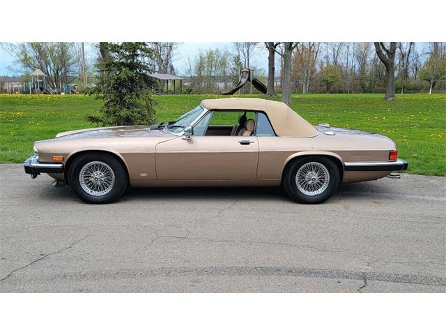 1988 Jaguar XJ (CC-2054242) for sale in Hilton, New York