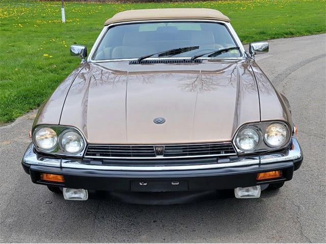 1988 Jaguar XJ (CC-2054242) for sale in Hilton, New York