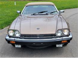 1988 Jaguar XJ (CC-2054242) for sale in Hilton, New York