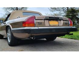 1988 Jaguar XJ (CC-2054242) for sale in Hilton, New York