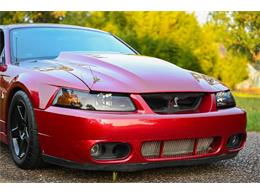 2003 Ford Mustang SVT Cobra (CC-2054299) for sale in Warner Robins, Georgia