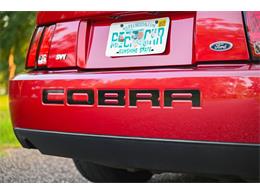 2003 Ford Mustang SVT Cobra (CC-2054299) for sale in Warner Robins, Georgia
