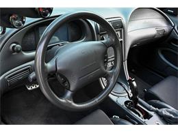 2003 Ford Mustang SVT Cobra (CC-2054299) for sale in Warner Robins, Georgia