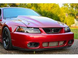 2003 Ford Mustang SVT Cobra (CC-2054299) for sale in Warner Robins, Georgia