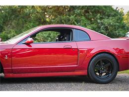 2003 Ford Mustang SVT Cobra (CC-2054299) for sale in Warner Robins, Georgia