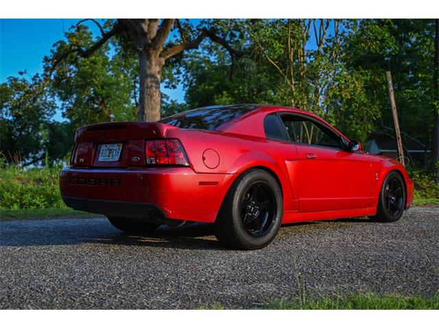 2003 Ford Mustang SVT Cobra (CC-2054299) for sale in Warner Robins, Georgia