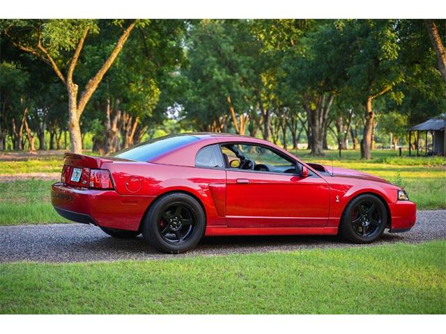 2003 Ford Mustang SVT Cobra (CC-2054299) for sale in Warner Robins, Georgia