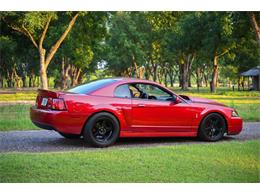 2003 Ford Mustang SVT Cobra (CC-2054299) for sale in Warner Robins, Georgia