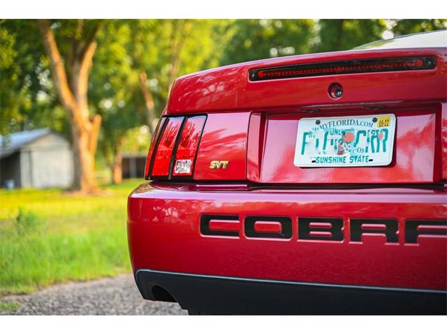 2003 Ford Mustang SVT Cobra (CC-2054299) for sale in Warner Robins, Georgia