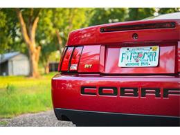 2003 Ford Mustang SVT Cobra (CC-2054299) for sale in Warner Robins, Georgia