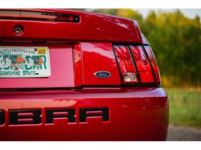 2003 Ford Mustang SVT Cobra (CC-2054299) for sale in Warner Robins, Georgia