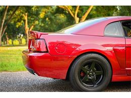 2003 Ford Mustang SVT Cobra (CC-2054299) for sale in Warner Robins, Georgia