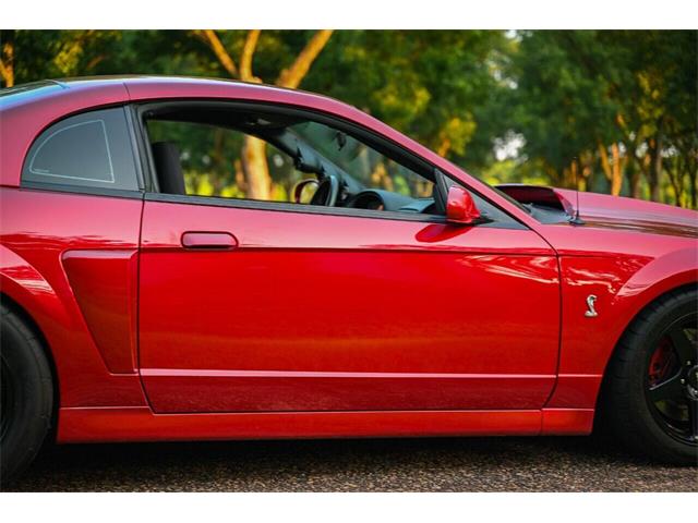 2003 Ford Mustang SVT Cobra (CC-2054299) for sale in Warner Robins, Georgia