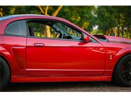 2003 Ford Mustang SVT Cobra (CC-2054299) for sale in Warner Robins, Georgia