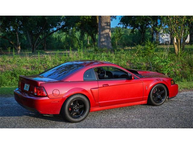 2003 Ford Mustang SVT Cobra (CC-2054299) for sale in Warner Robins, Georgia