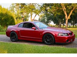 2003 Ford Mustang SVT Cobra (CC-2054299) for sale in Warner Robins, Georgia