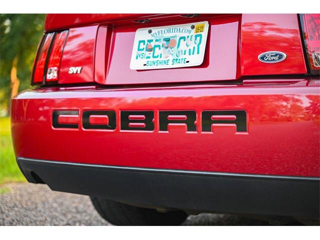 2003 Ford Mustang SVT Cobra (CC-2054299) for sale in Warner Robins, Georgia