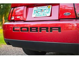 2003 Ford Mustang SVT Cobra (CC-2054299) for sale in Warner Robins, Georgia