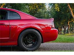 2003 Ford Mustang SVT Cobra (CC-2054299) for sale in Warner Robins, Georgia