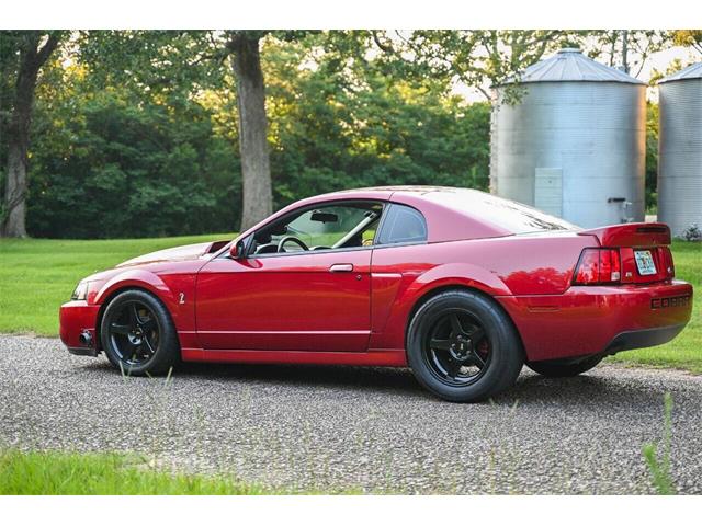 2003 Ford Mustang SVT Cobra (CC-2054299) for sale in Warner Robins, Georgia